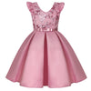 Princess Dress for Girls Tutu